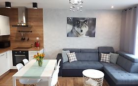 Apartamenty Pod Dzikowcem